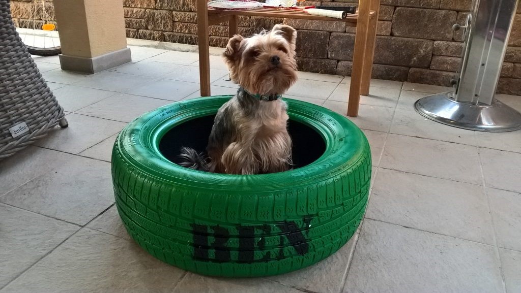 DIY dog bed made from an old tire